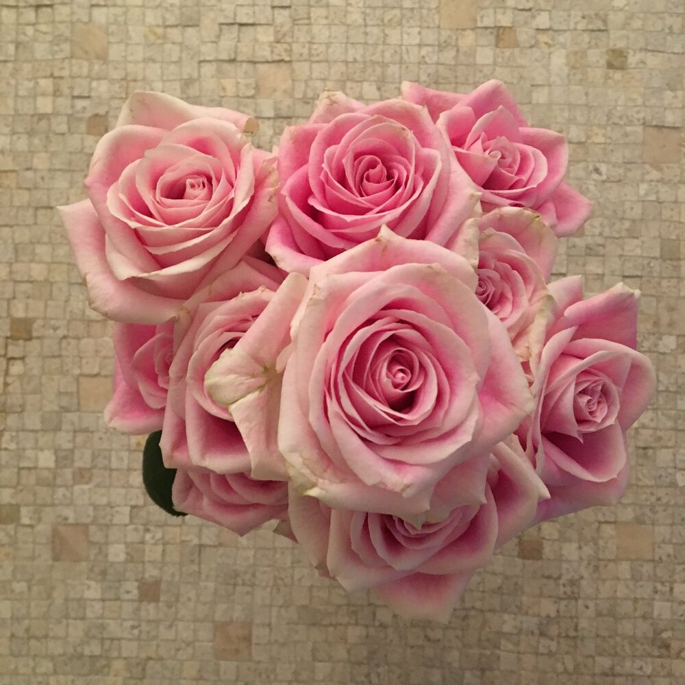 Meet your Posher, Andrea